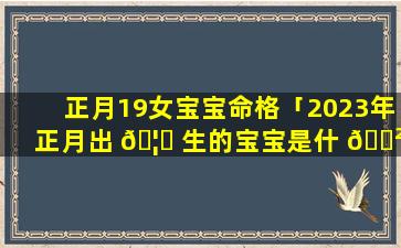 正月19女宝宝命格「2023年正月出 🦊 生的宝宝是什 🌲 么命格」